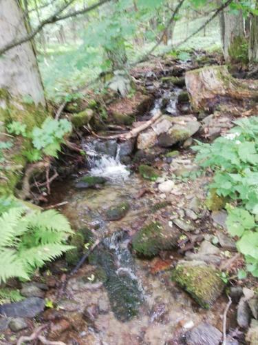 Vakantiehuis Cerny Dul 259