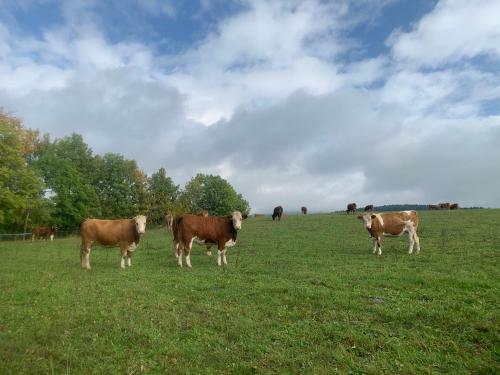 Villa Vila 66 - ?ist� V Krkono?�ch