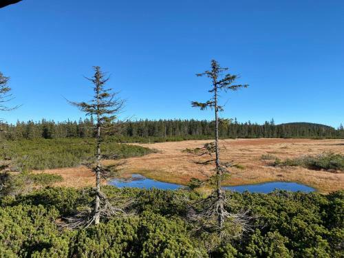 Villa Vila 66 - ?ist� V Krkono?�ch