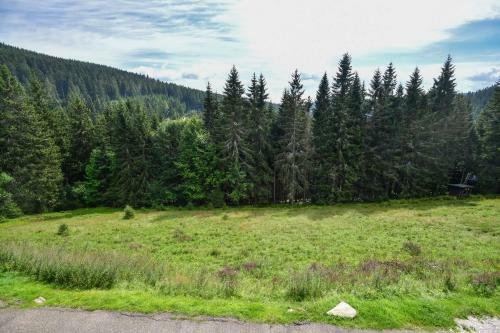 Horsk� Apartm�n Cihl�?ka