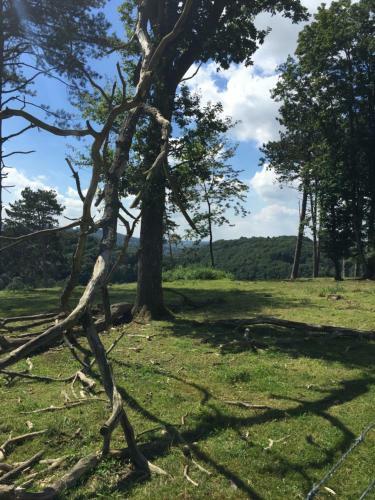 Ardennen Punthuisje