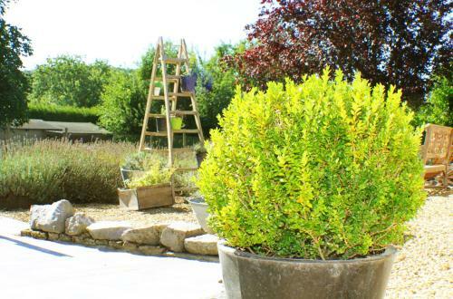 Bed & Breakfast Comme � La Ferme