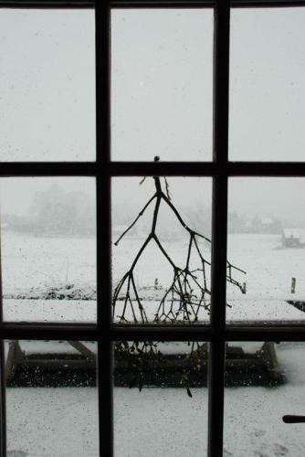 Bed & Breakfast Monsieur Doute