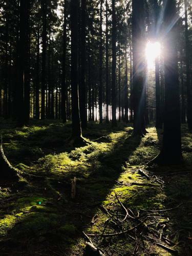 Les Ardennes Ensoleill�es "bienvenidos"