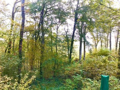 Boshuis Le Tilleul Durbuy