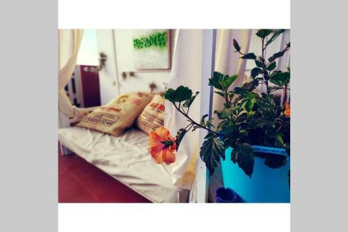 Apartamento Habanitas
