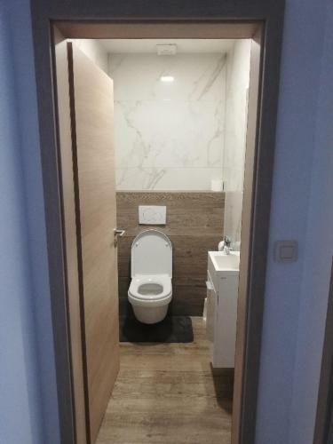 Apartmaji Ho?ka Ko?a