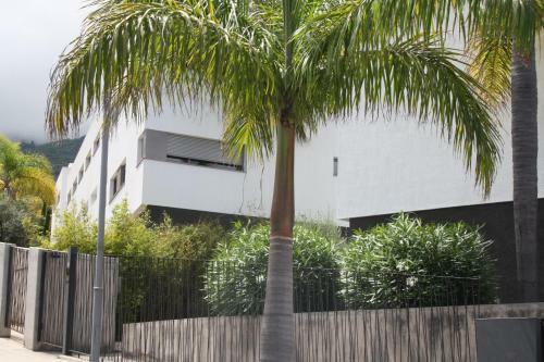 Apartamento Sissi Boutique - The Terrace Between Ocean And Teide