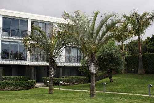 Apartamento Sissi Boutique - The Terrace Between Ocean And Teide