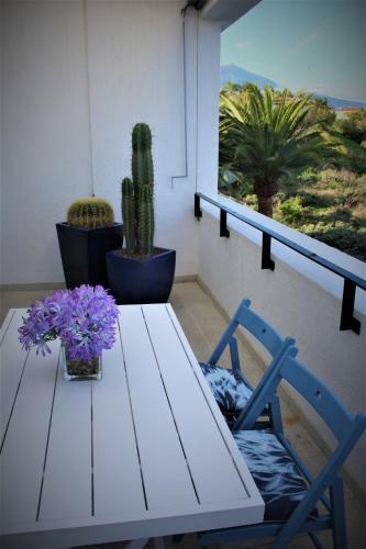 Apartamento Sissi Boutique - The Terrace Between Ocean And Teide