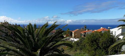Apartamento Sissi Boutique - The Terrace Between Ocean And Teide