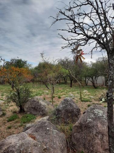 La Roja Y Barro Tal Vez