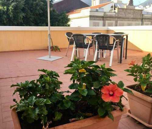 Apartamento Piso En El Coraz�n De La Ciudad