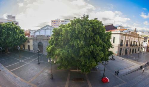 Apartamento Piso En El Coraz�n De La Ciudad
