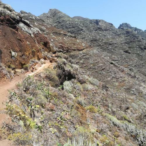 Tenerife