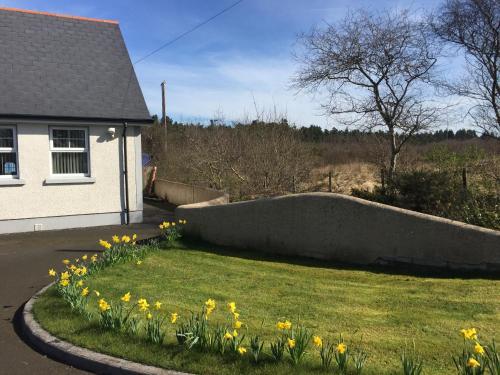 Bed & Breakfast Clare Forest Cottage
