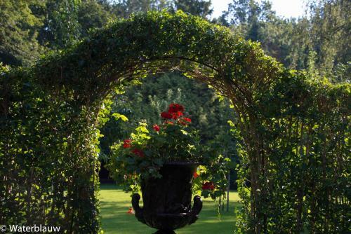 Bed & Breakfast Logement Swaenenvecht