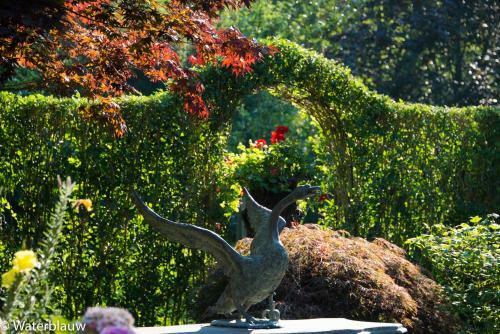 Bed & Breakfast Logement Swaenenvecht