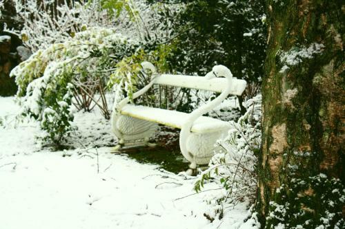 Bed & Breakfast Logement Swaenenvecht