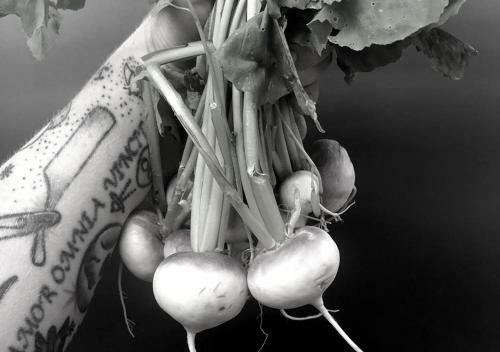 Posada The Black Lion Hotel And Restaurant