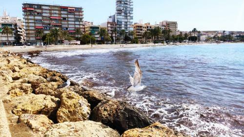 C�modo Apartamento Cerca Del Mar