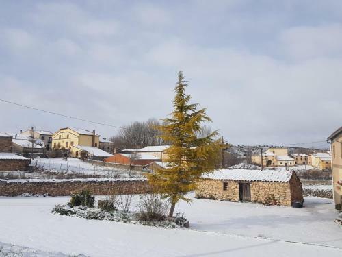 Casa De Pueblo ,sauca
