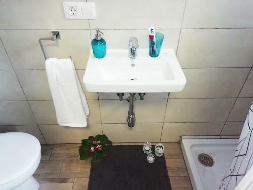 Comfortable Apartment Well Located In The North