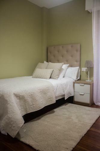 Apartamento C�ntrico Y Tranquilo En Santiago De Compostela