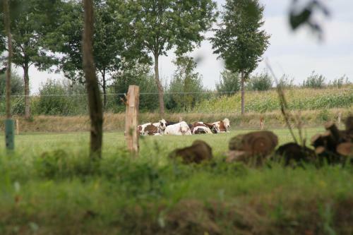 Bed & Breakfast Gastenverblijf Eenink