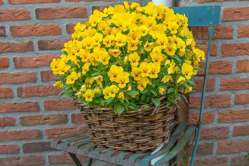 B&B Schipborg