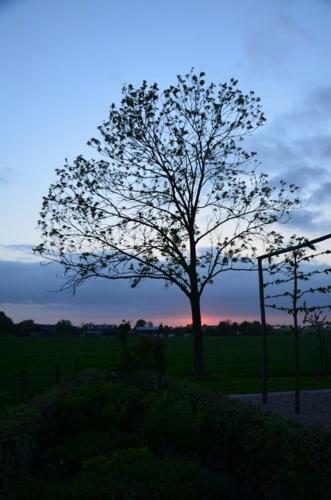 Bed & Breakfast Bakhuis Het Oude Klooster