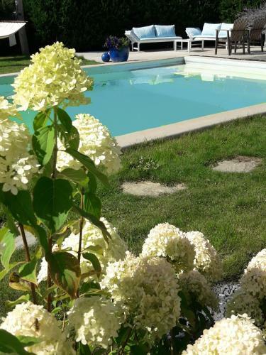 Bed & Breakfast La Vie En Rose Hotel
