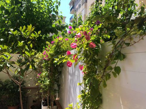 Forget Me Not Apartment Boutique Sitges