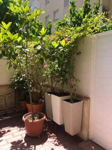 Forget Me Not Apartment Boutique Sitges