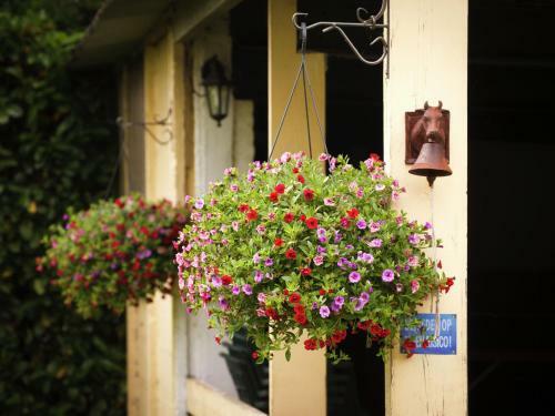 Agroturismo Holiday Home De Oude Boerderij Moergestel