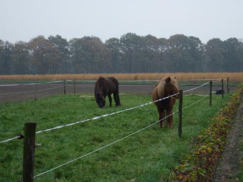 Apartamento Erfgoed & Logies Den Heijkant