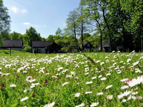 Holiday Home Het Bosmeeriv