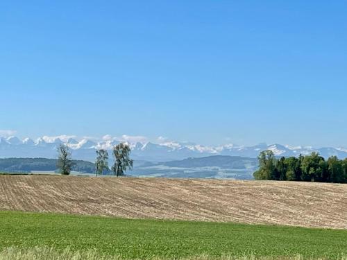 Apartamento Sleep In Style At Beautiful Lake Constance