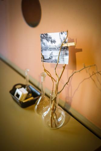 Beautiful Best Location Apartment Red Mouse