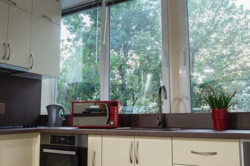 Central Apartment