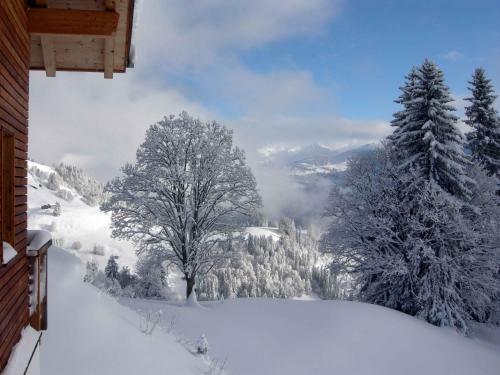 Apartamento Chalet Oberb�rtji Furna