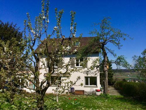 Hostal Guntli?s Family Guesthouse