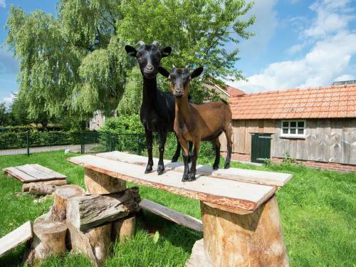 Agroturismo De Goede Weide