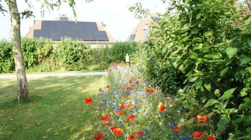 Aparthotel Terschelling Hotel Tjermel�n