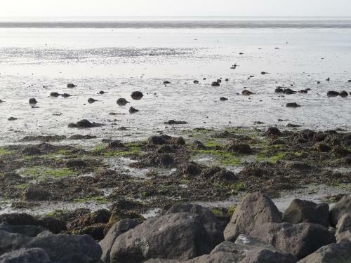 Aparthotel Terschelling Hotel Tjermel�n