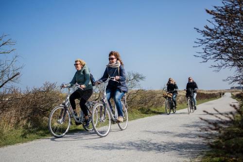 Aparthotel Terschelling Hotel Tjermel�n