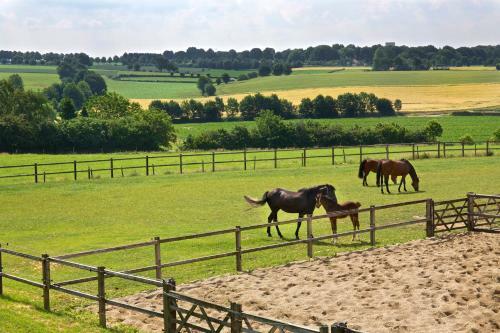 Bed & Breakfast Buitenplaats Welsdael