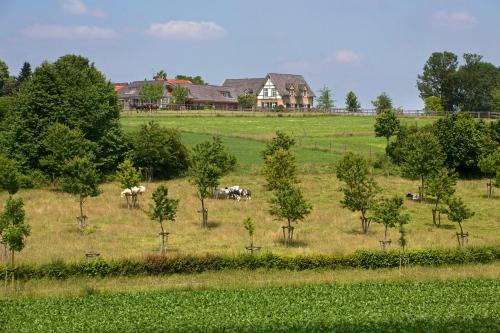 Bed & Breakfast Buitenplaats Welsdael