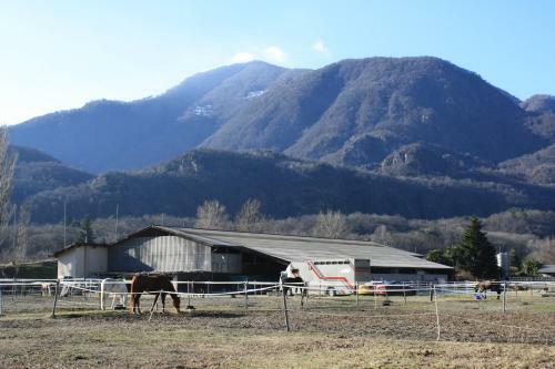 Hostal Ergomotion Losone Michio