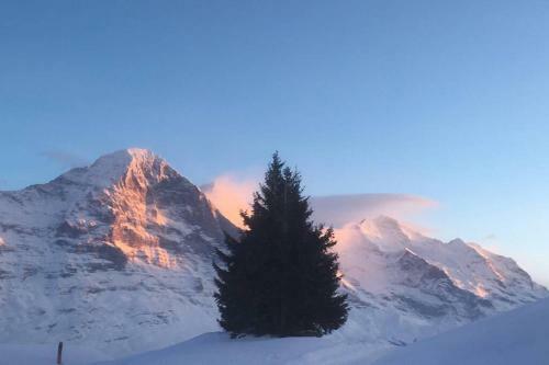 Apartamento Chalet Alta Am Fusse Der Eigernordwand